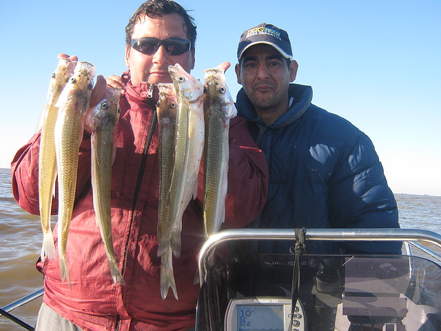 pesca2 100