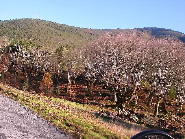 DSCN0449 DSCN0449