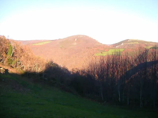 DSCN0567 DSCN0567