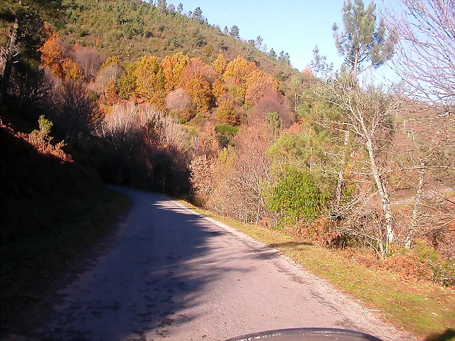 DSCN0462 DSCN0462