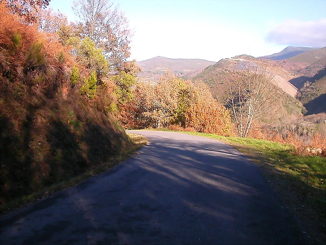 DSCN0486 DSCN0486