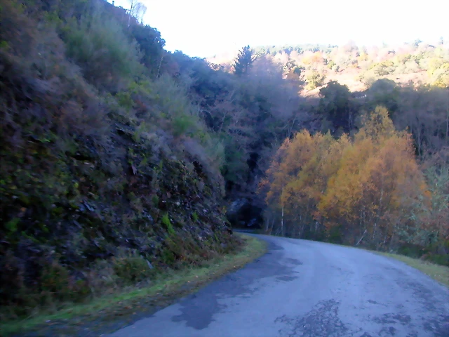 DSCN0468 DSCN0468