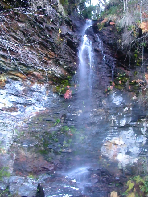 DSCN0475 DSCN0475