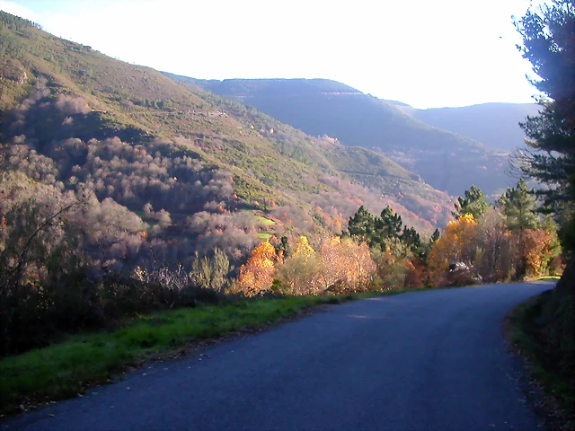 DSCN0488 DSCN0488