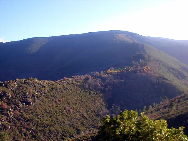 DSCN0460 DSCN0460