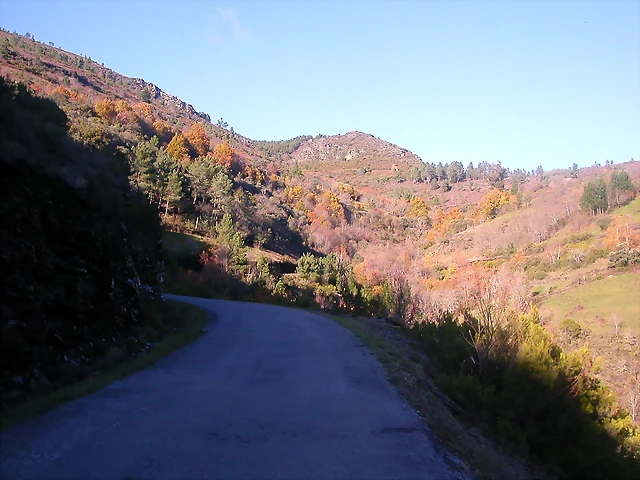 DSCN0467 DSCN0467