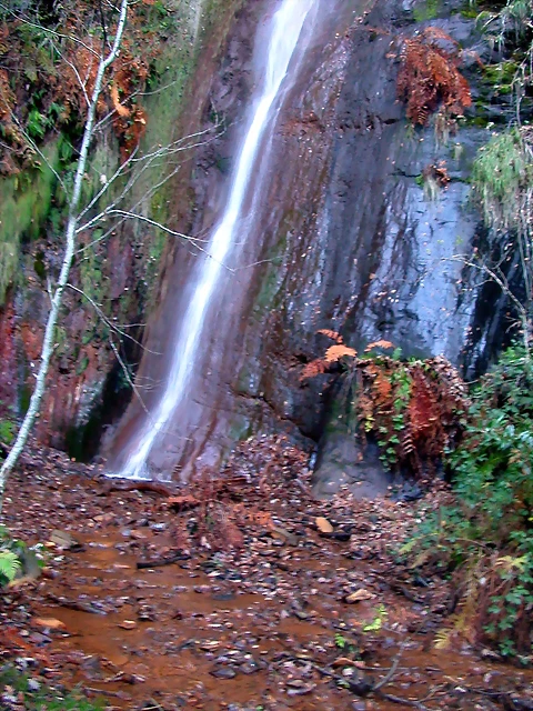 DSCN0497 DSCN0497