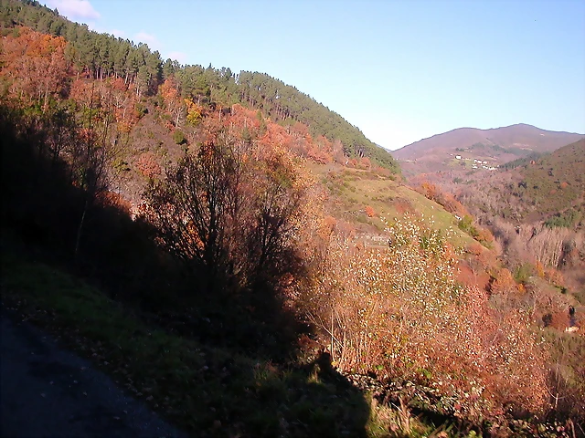 DSCN0490 DSCN0490