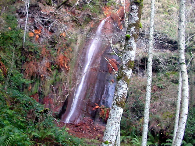 DSCN0496 DSCN0496