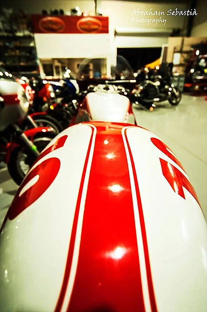 12050455_10207926381821539_1106351739_o 12050455_10207926381821539_1106351739_o