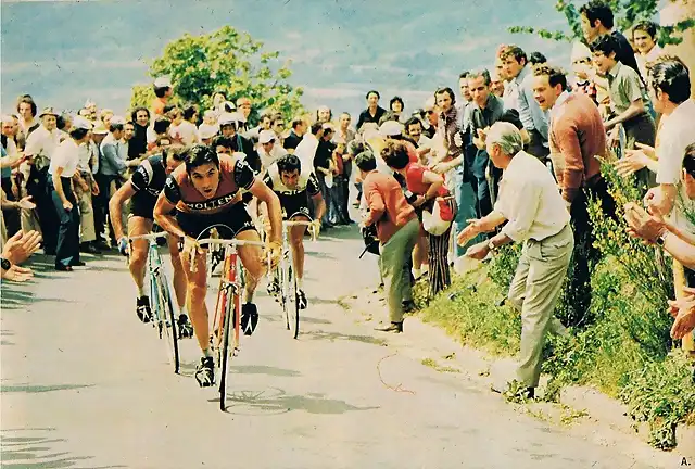 Merckx, Conti, Bitossi et GB Baronchelli