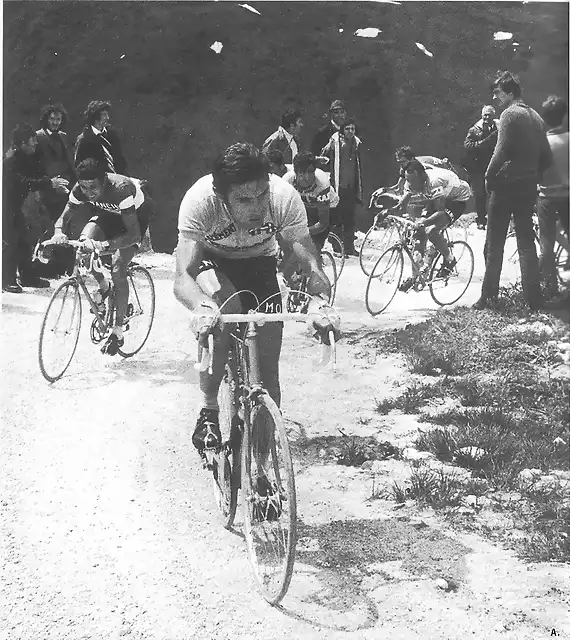 Giro 73, Eddy avec Gimondi, Lazcano, Ritter et Italo Zilioli