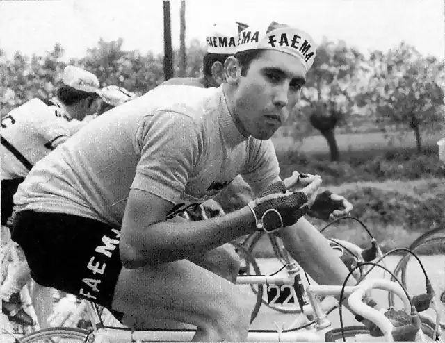 Giro 1968 Eddy Merckx, Faema