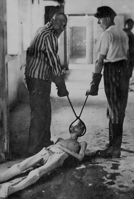 forceps-de-la-muerte forceps-de-la-muerte