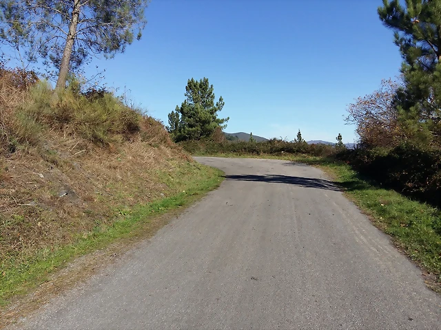 20151114_123446 20151114_123446