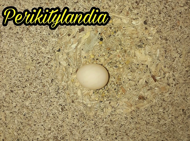 PicsArt_10-17-09.10.39 PicsArt_10-17-09.10.39