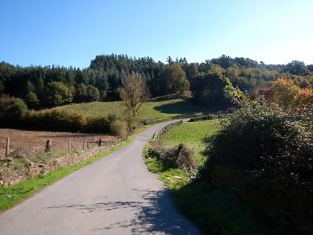 DSCN1050 DSCN1050
