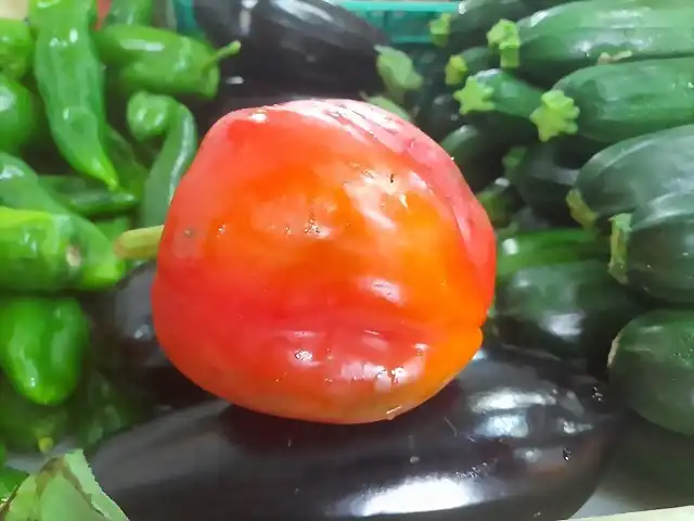 Pimiento tomatero