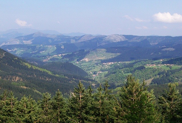 Belaustegi (19)