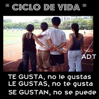 CICLO  DE  VIDA