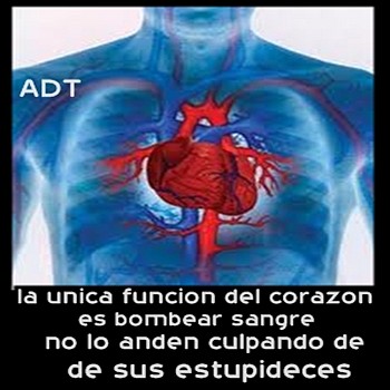 la  unica funcion del corazon