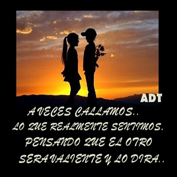 AVECES CALLAMOS AVECES CALLAMOS