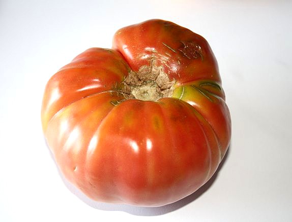 Tomate de Moguer