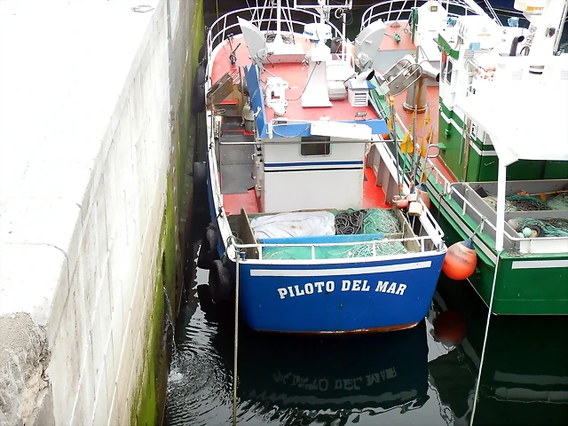 DSCN3289 DSCN3289
