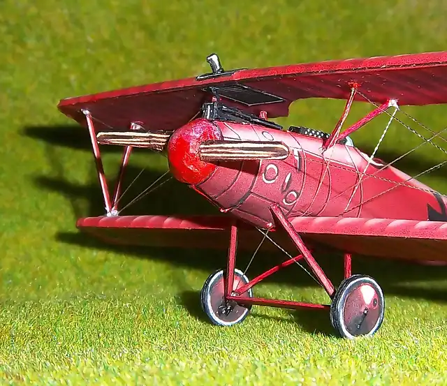 Albatros BR (16)