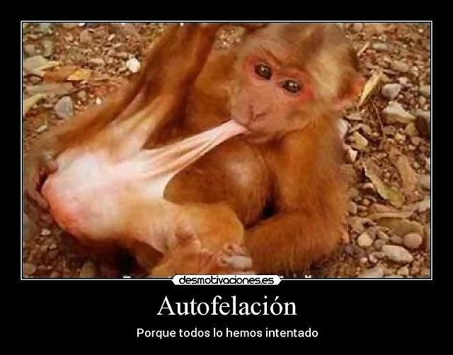 autofelacion autofelacion