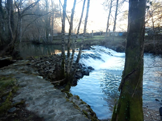 DSCN2570