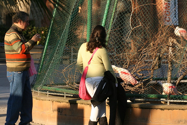 Zoo de Barcelona 09-02-11 378 Zoo de Barcelona 09-02-11 378