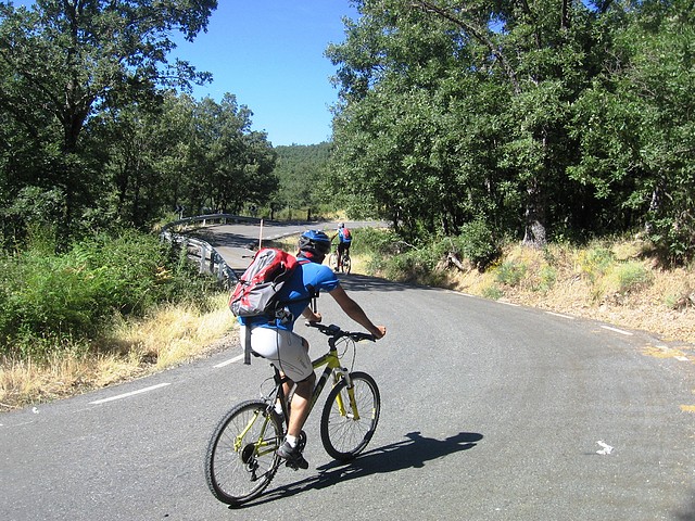 IMG_0312 IMG_0312