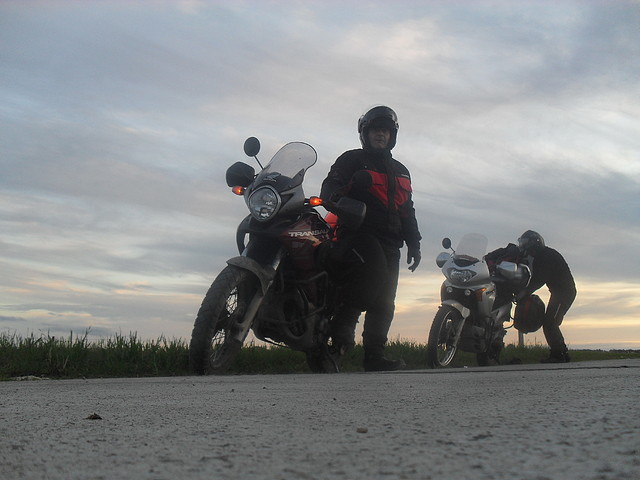 SDC10591 SDC10591