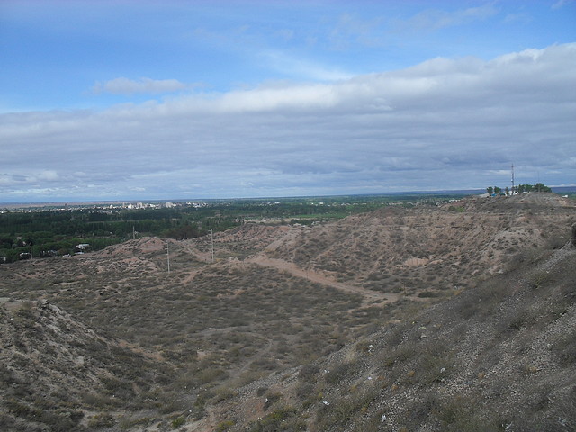SDC10436 SDC10436