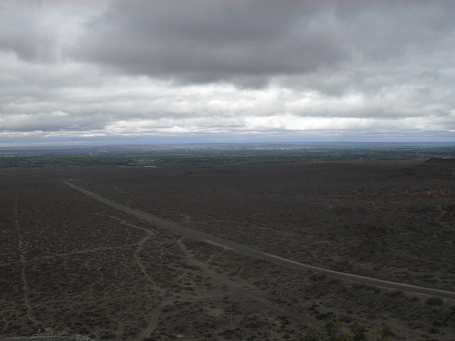SDC10397 SDC10397