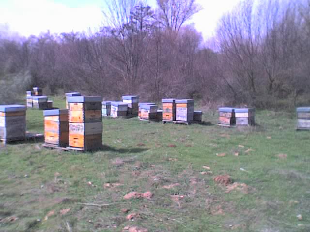 14-03-09_1349 14-03-09_1349