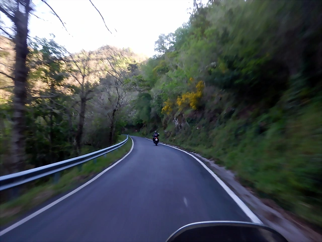 DSCN5796 DSCN5796