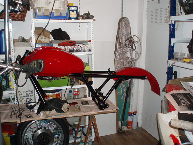 previo previo