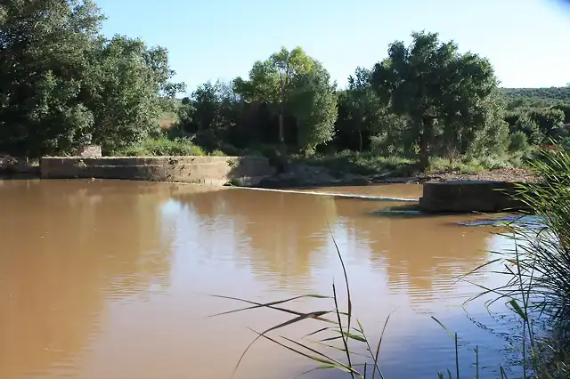 004, presa molino