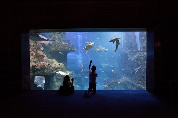 aquarium donostia