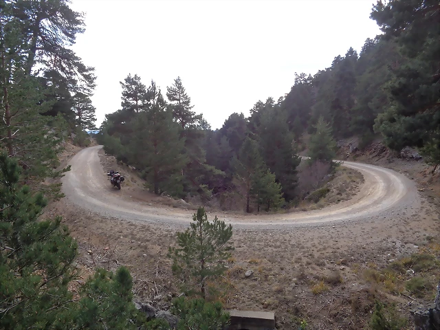 DSC00600