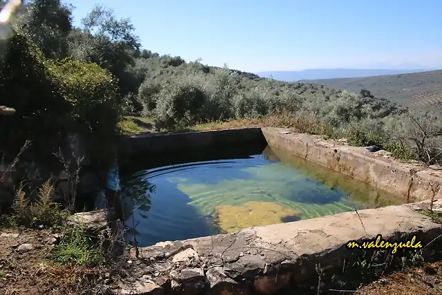 05, alberca, marca