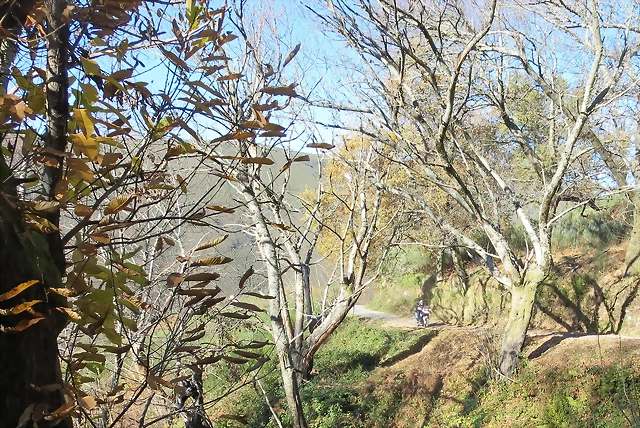 IMG_0135 IMG_0135