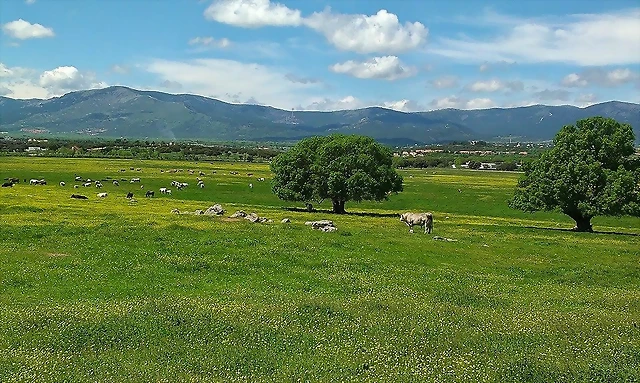 dehesa collado villalba dehesa collado villalba