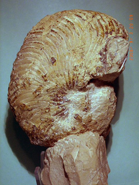 20cm 20cm