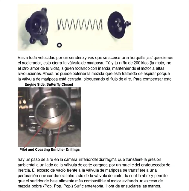 v?lvula corte v?lvula corte