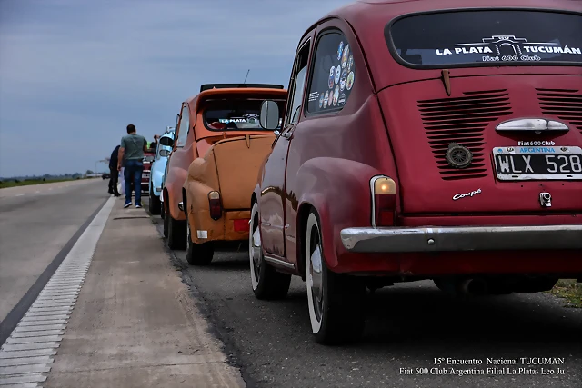 DSC_0503 DSC_0503