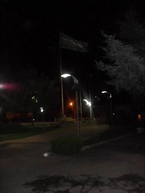 SDC11799 SDC11799