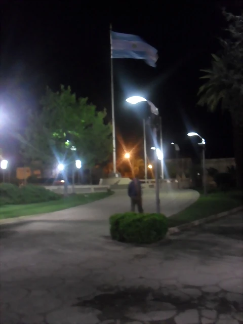 SDC11801 SDC11801